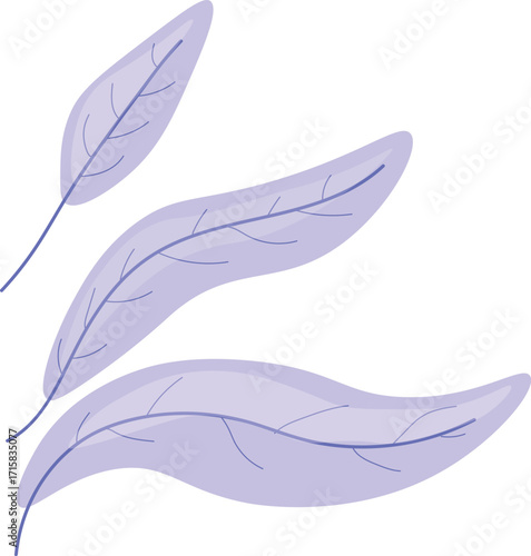 feather, vector, bird, illustration, pen, drawing, art, design, nature, pattern, symbol, element, leaf, writing, decoration, wing, quill, letter, icon, object, sketch, sign, silhouette, ink, line