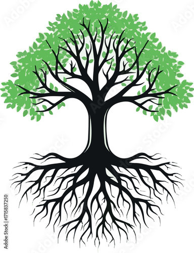 create Tree with roots. Plant silhouette with leaves, branches and rhizome. Environment or ecology. Botanical element. Green foliage. Strength trunk. Genealogy and origins. Vector nature logo white ba