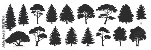 Collection of various coniferous trees in silhouette, suitable for design elements and nature-themed projects