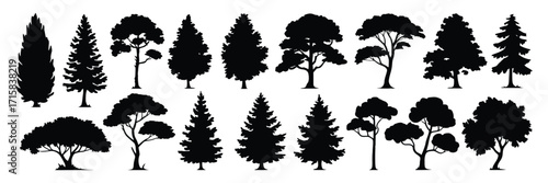 Tree Silhouettes Collection Diverse Evergreen and Deciduous Tree Vector Set