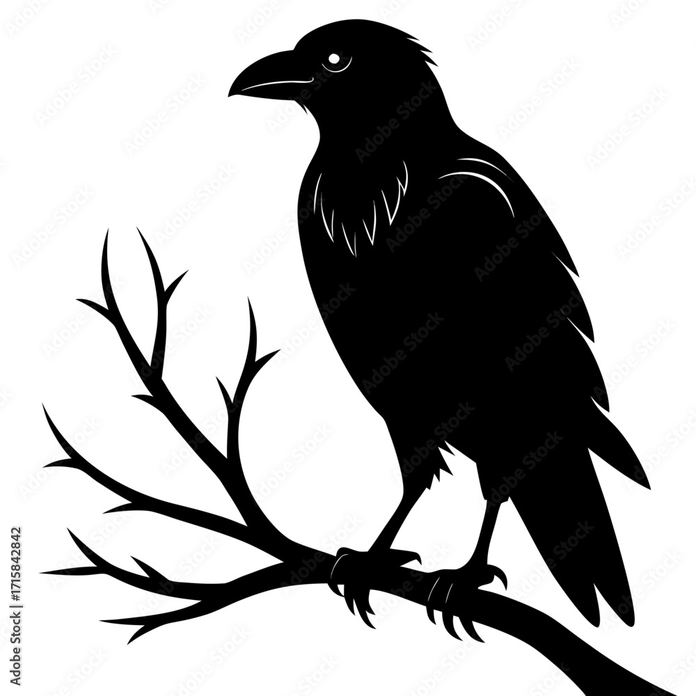 Obraz premium crow on a white background