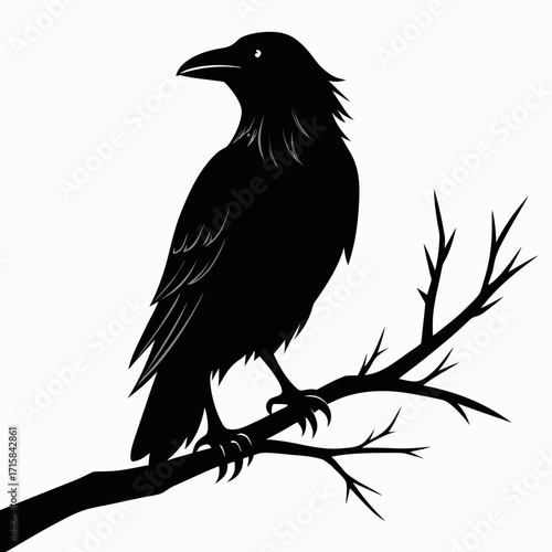 crow on a branch
