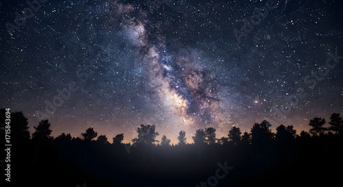 A stunning view of the Milky Way galaxy stretching across a dark night sky, with a silhouetted treeline in the foreground.