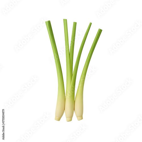 Top-down View of Fresh Lemongrass Stalks Isolated on Transparent Background