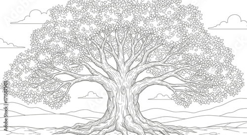 Detailed line drawing of a large, old tree with prominent roots, branches, and leaves against a landscape with hills and clouds.