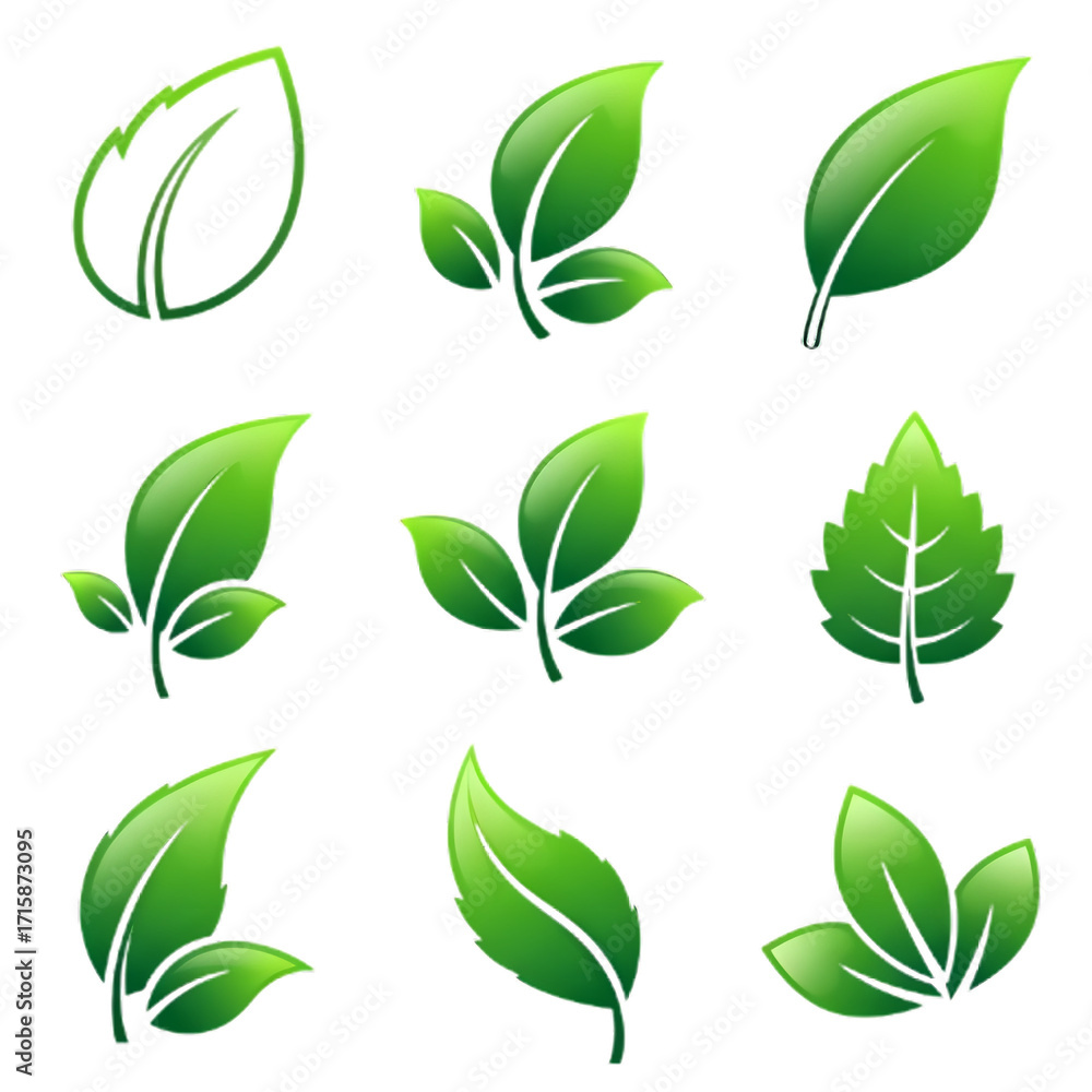 Naklejka premium Collection of Various Green Leaves 1.