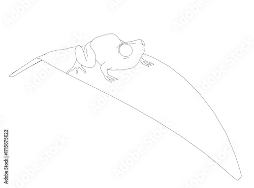 A detailed contour sketch of a frog sitting on a leaf with a white background. Its wide eyes and slightly open mouth suggest it is about to take a bite.