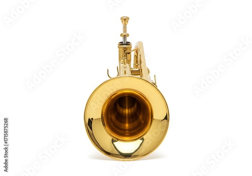 Golden trumpet instrument