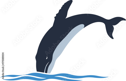 Orca Whale Leaping Out of Blue Water Ocean Waves