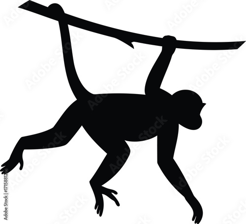 Silhouette Monkey Hanging on Tree Branch