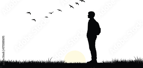 Young man watches birds fly during sunrise silhouette