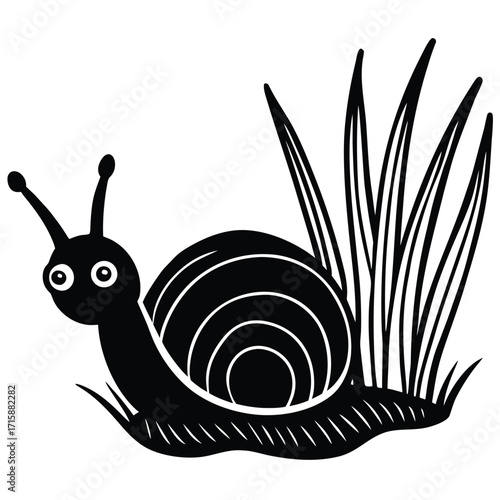 snail on a white background