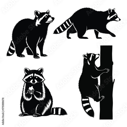 Four stylized raccoon silhouettes in various poses for wildlife graphics and designs silhouette