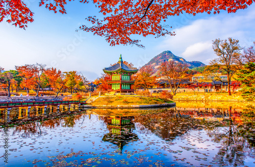 Wallpaper Mural Autumn in the park, Gyeongbokgung palace, Seoul, South, Korea. Torontodigital.ca