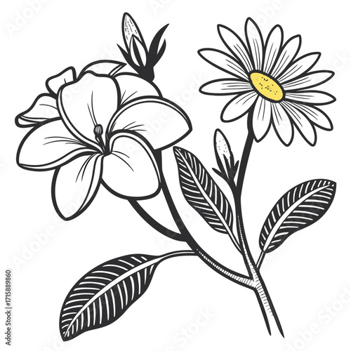 gardenia daisy hardy with leaves 