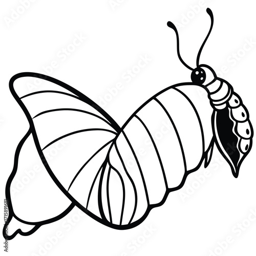 bee cartoon illustration