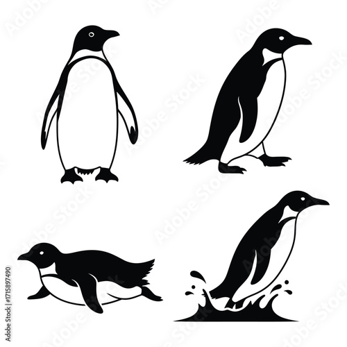Four diverse penguin poses for your designs and graphics silhouette