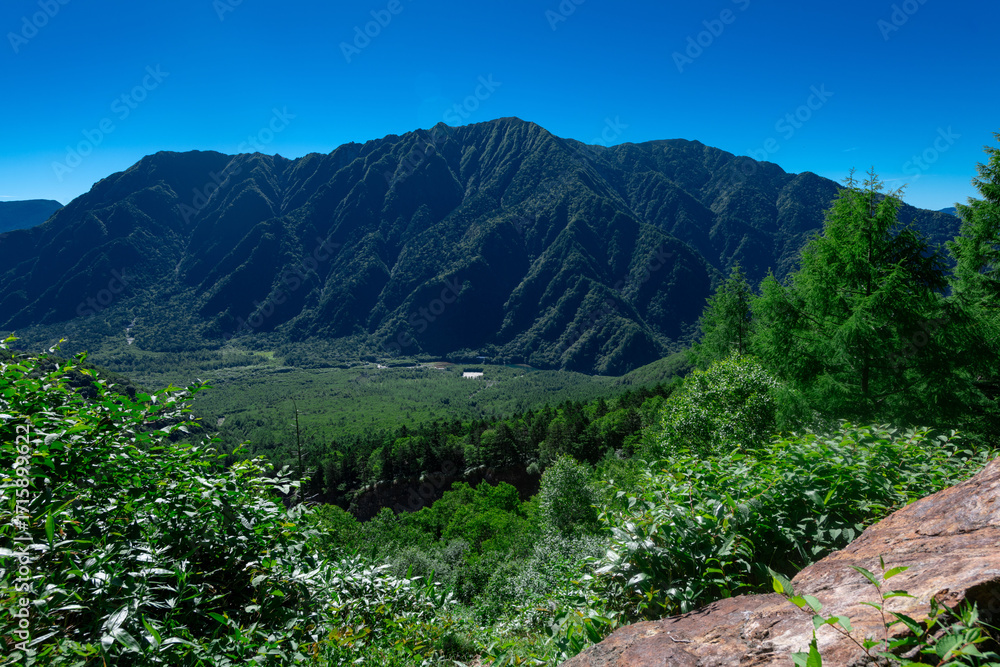 Fototapeta premium 上高地大正池を望む
