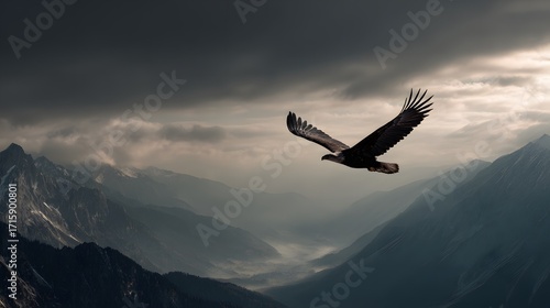 Eagle flying majestic bird of prey over mountain range wildlife nature photography landscape scenic view