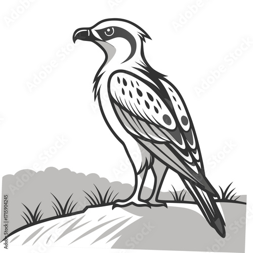 Stylized black and white illustration of a majestic osprey bird perched on a rocky outcrop with grass