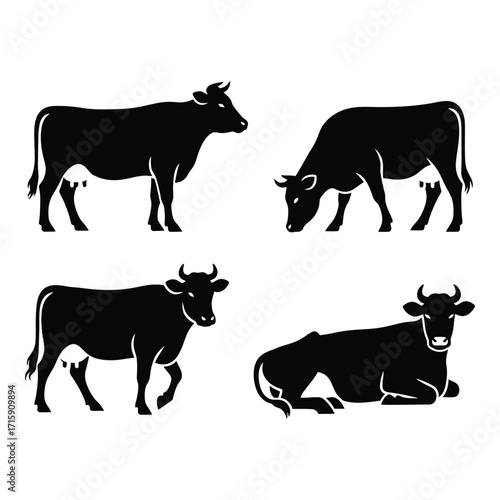 Set of four black silhouettes of cows in different poses for farm and livestock design silhouette