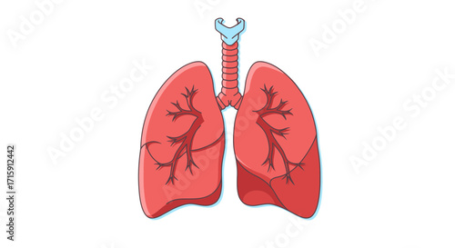 Detailed human lungs illustration, visualizing the respiratory system's intricate bronchial tree structure for medical education and health awareness campaigns.