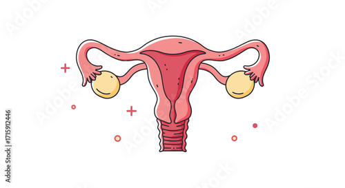 Vibrant depiction of the female reproductive system with ovaries and fallopian tubes, symbolizing health and life