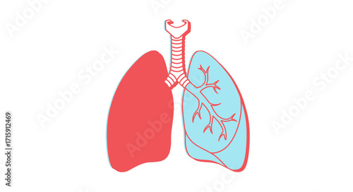 Stylized Human Lungs