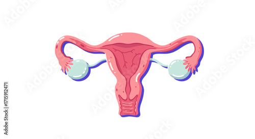 Vibrant, stylized illustration of the female reproductive system, showcasing uterus and ovaries with a modern, clean aesthetic for health and science concepts.