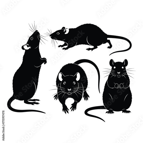 Collection of five distinct black silhouettes of rats posed in various positions silhouette