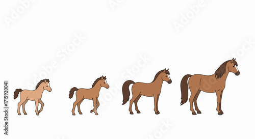 Simple Flat Style Horse Growth Stages Development Illustration Set