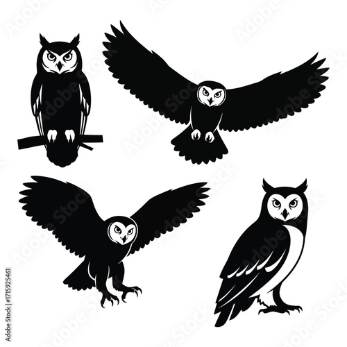 Four silhouette owls in various poses natural wildlife birds nocturnal predators graceful flight silhouette