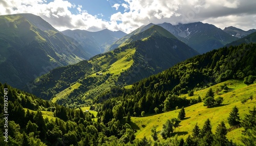 Majestic Mountain Valley Landscape: Verdant Slopes, Coniferous Forests, and Sunlit Peaks