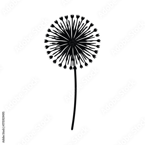 minimal dandelion puff outline