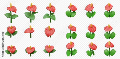 Collection of stylized 3D rendered Anthurium flowers in various poses and orientations on a transparent background.