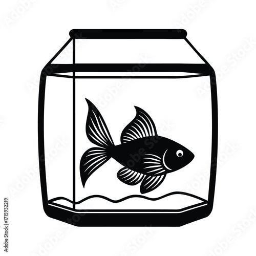 minimalist glass fish tank with colorful betta fish