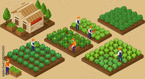 Isometric farm scene with farmers tending to lush vegetable gardens