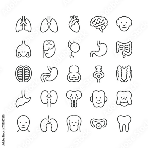 Collection of hand-drawn medical organ icons vector illustration scalable eps graphic art silhouette vector illustration white background