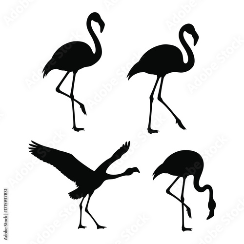 Four elegant flamingo silhouettes standing gracefully in various poses and angles silhouette