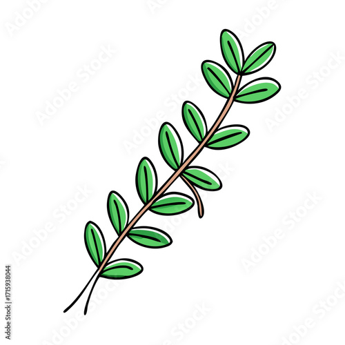 Illustration of a sprig with green oval leaves on a brown stem