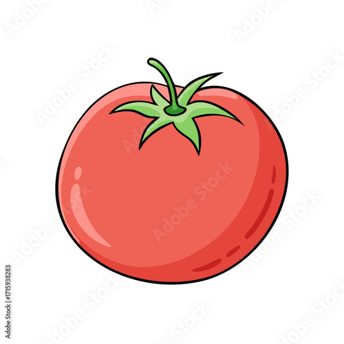 Cartoon style illustration of a fresh and juicy red tomato fruit
