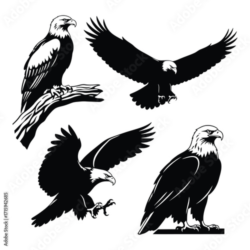 Majestic eagles in flight and perched majestic birds of prey collection silhouette