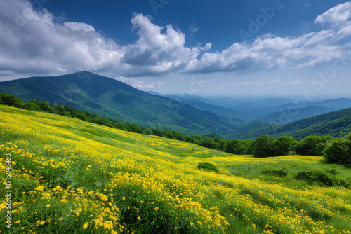 experience enchanting summer landscapes of  states in usa featuring lush green hills of west virginia