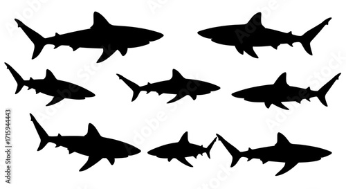 Shark silhouettes collection on white background for marine themed designs