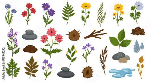 Colorful botanical elements with flowers, leaves, and natural objects