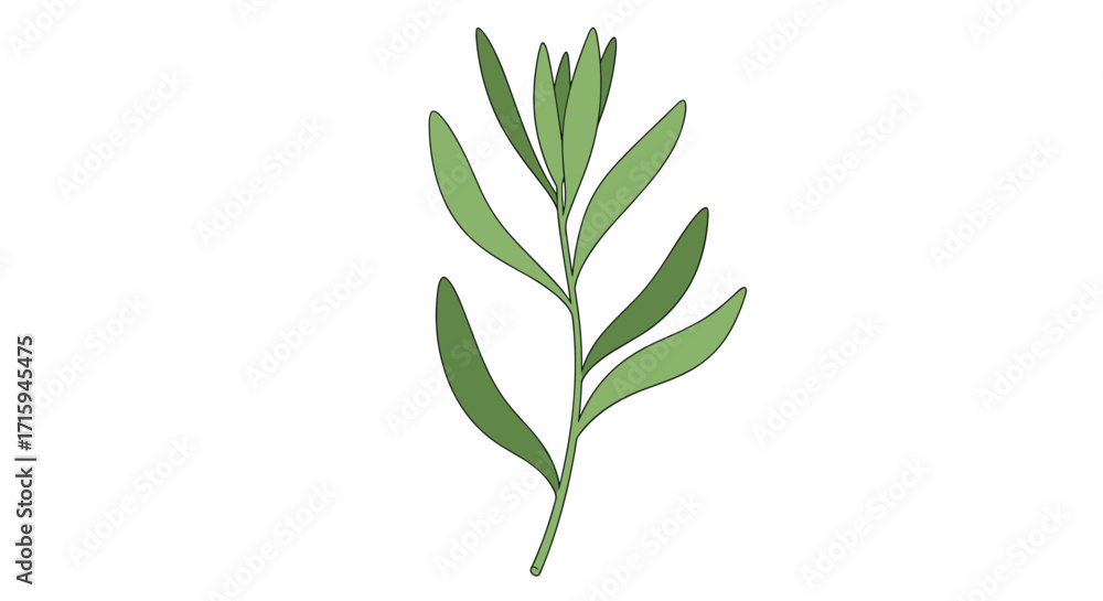 Obraz premium Minimalist green botanical leaf artwork for nature lovers