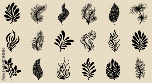 Elegant botanical silhouettes: collection of black plant leaves on beige background