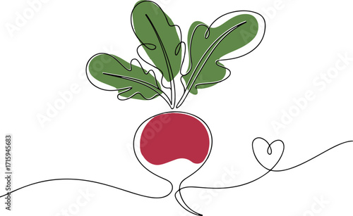 Continuous one line drawing of radish in minimalist modern style vector illustration representing fresh vegetable and organic food concept