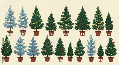 Diverse evergreen trees in pots with festive decorations on light background