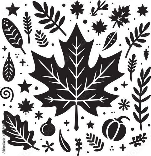 silhouette black Maple leaf, oak leaf, fall colors, thanksgiving season, vector illustration